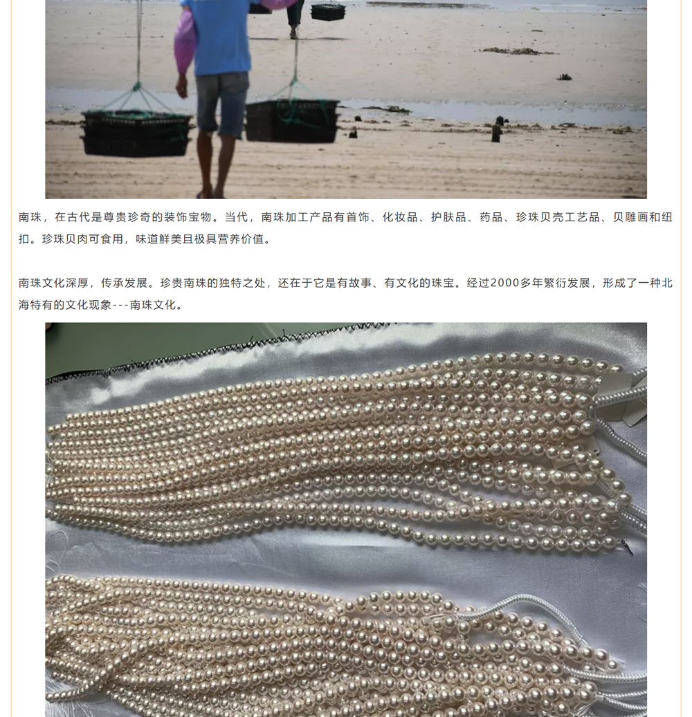 古老南珠，綻放異彩