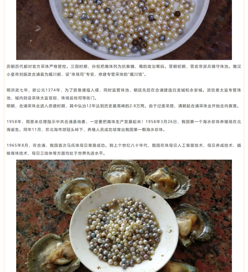 古老南珠，綻放異彩