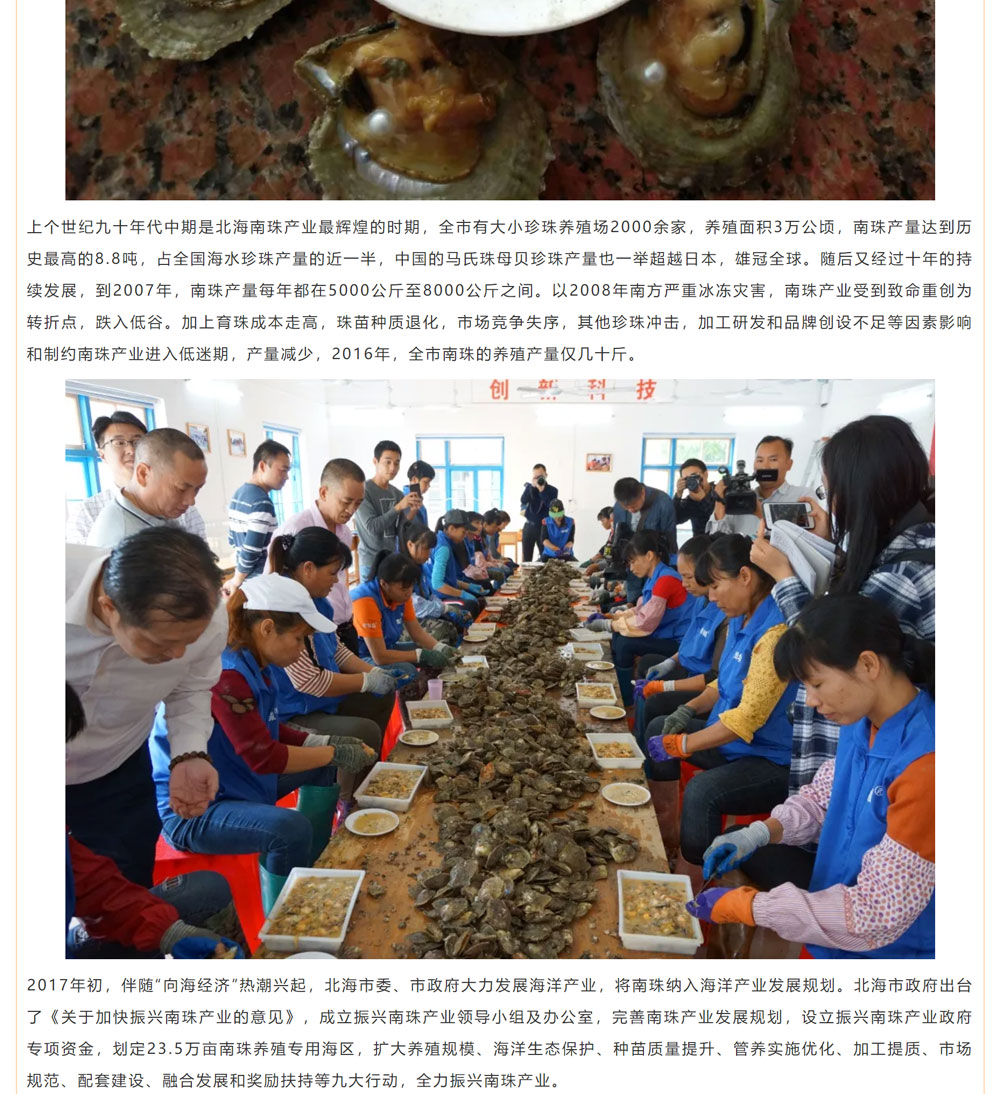 古老南珠，綻放異彩