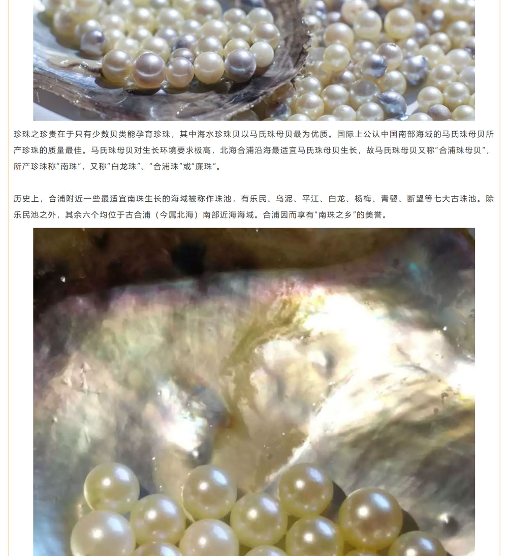 古老南珠，綻放異彩