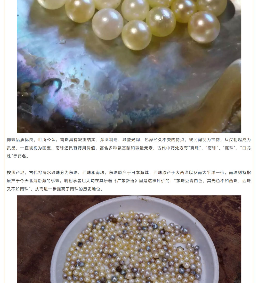 古老南珠，綻放異彩