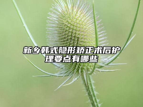 新鄉(xiāng)韓式隱形矯正術后護理要點有哪些
